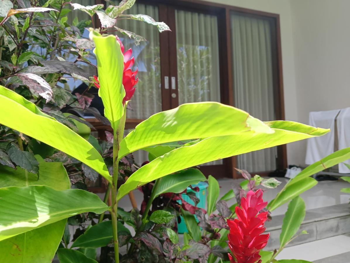Kama Ayu Bungalow Ubud Exteriér fotografie